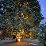 Ballens One Vakantiehuis Yens