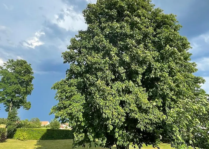 Vakantiehuis Ballens One Yens