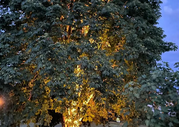 Ballens One Vakantiehuis Yens