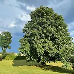 Holiday home Ballens One Yens